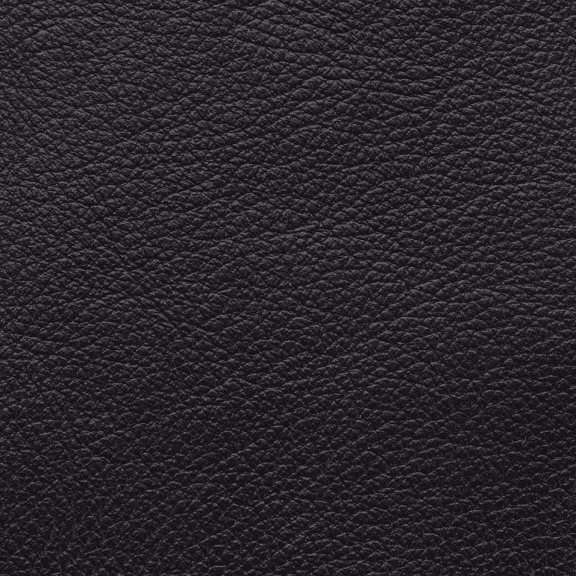 Aniline Leather - Black