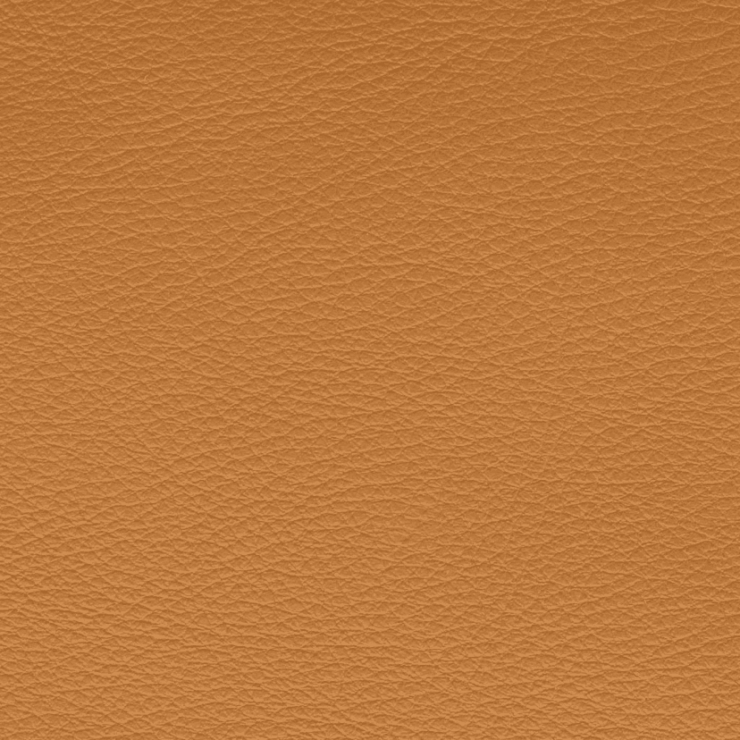 Aniline Leather - Camel