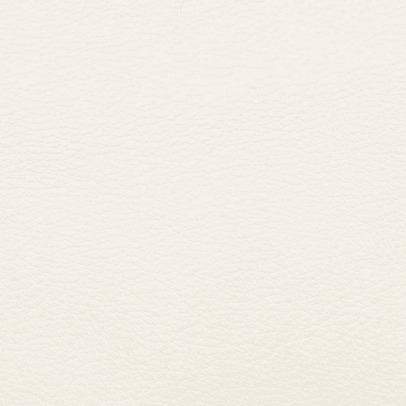 Aniline Leather - White