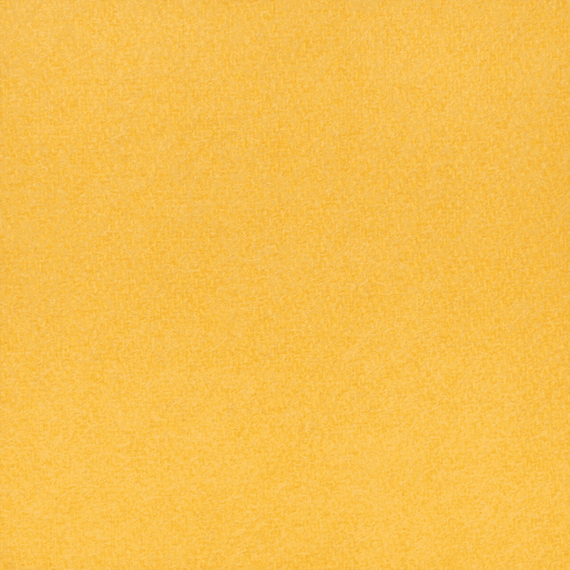 Cashmere - Dijon Yellow