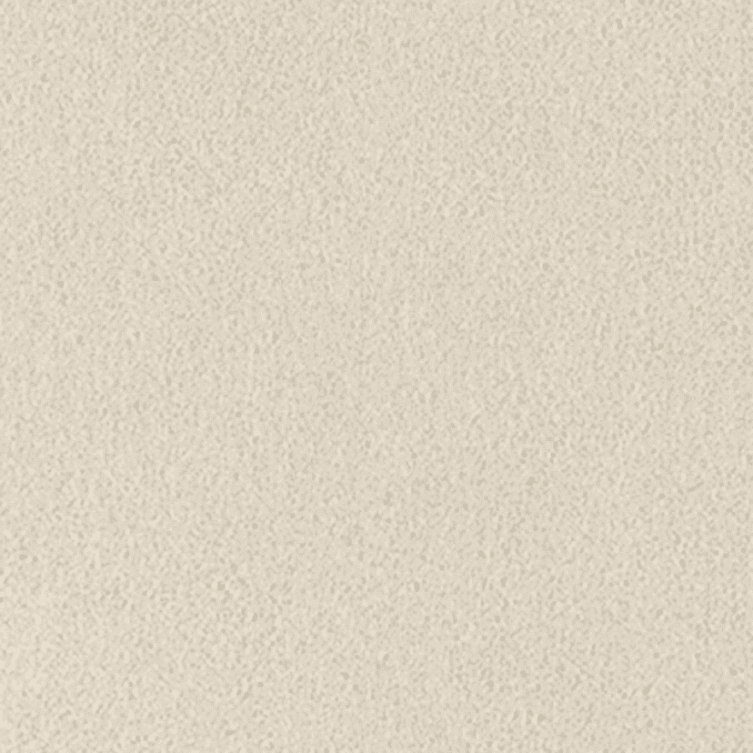 Classic Suede - Beige