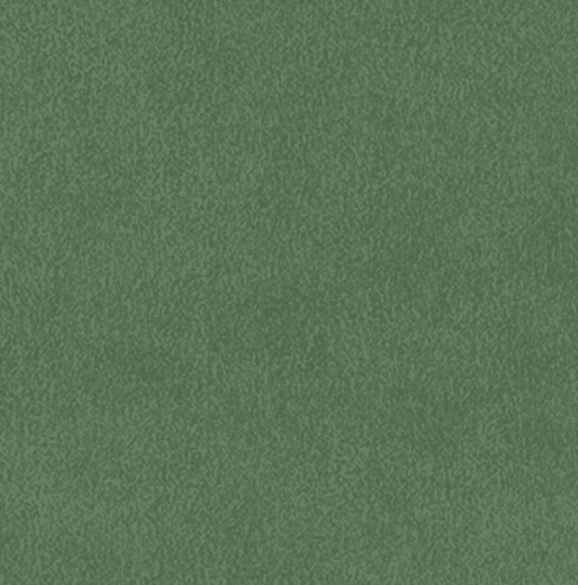 Classic Suede - Moss