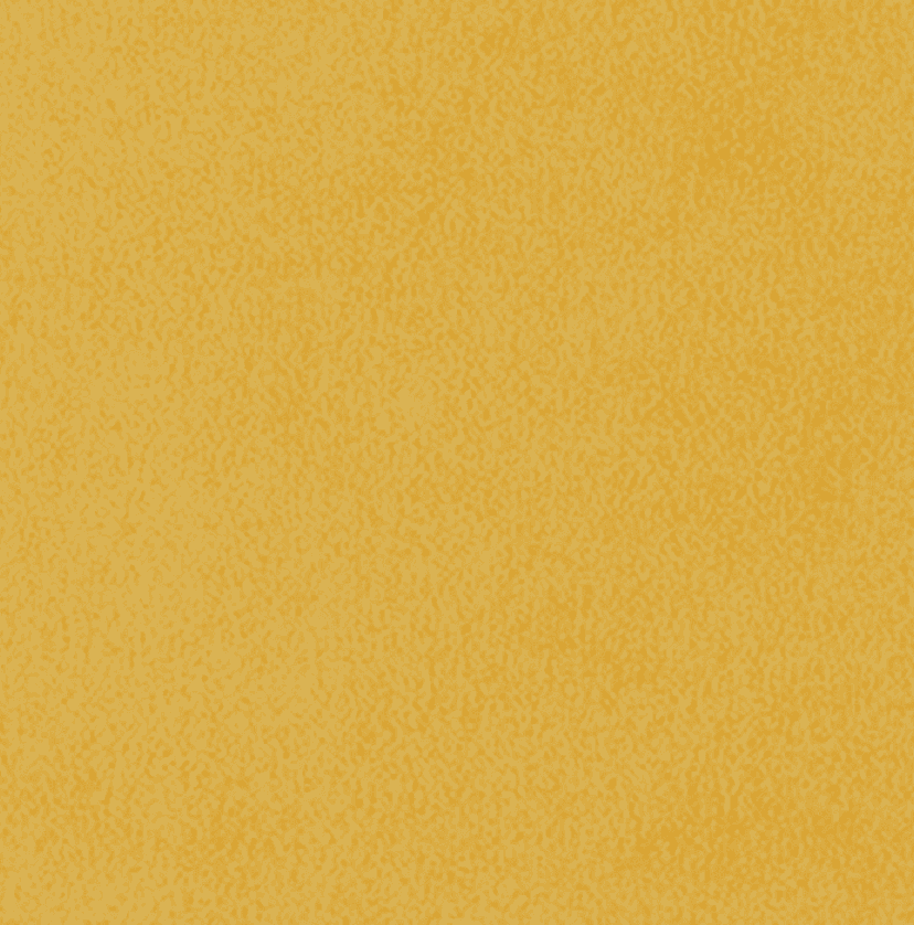 Classic Suede - Mustard