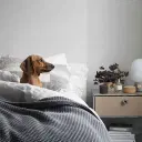 Haller P2 Bedside Table Replica - View 6