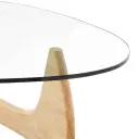 Noguchi Table Replica - View 35
